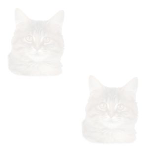 free website backgrounds, clipart, wallpaper