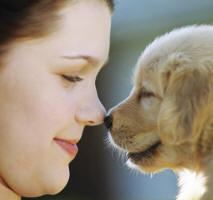 family friends pets photographs, clipart, animation, animated gifs, free clipart, free graphics, icons, buttons